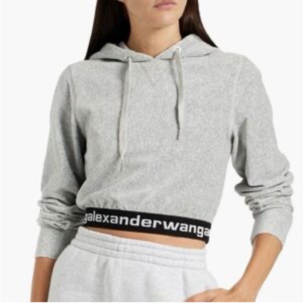 Alexander Wang Corduroy Cropped Hoodie